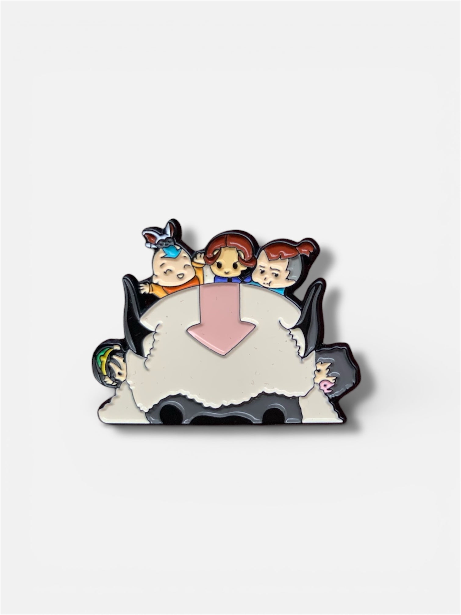 APPA CON AANG Y EQUIPO